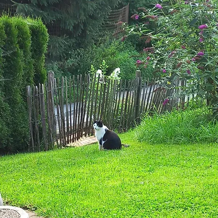 Apartament Ferienbauernhof Stallhaeusl Fieberbrunn