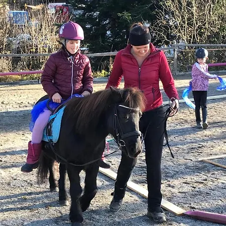 Ferienbauernhof Stallhaeusl Apartament