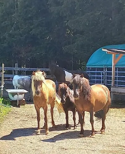 Ferienbauernhof Stallhaeusl Fieberbrunn