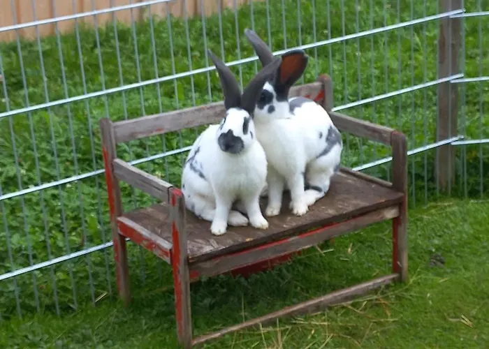 Ferienbauernhof Stallhaeusl * Fieberbrunn