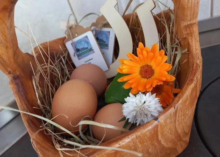 Ferienbauernhof Stallhaeusl Appartamento *