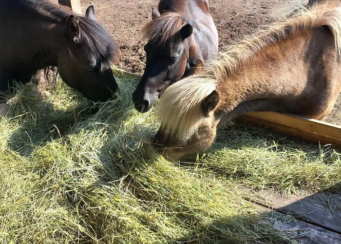 Appartamento Ferienbauernhof Stallhaeusl *