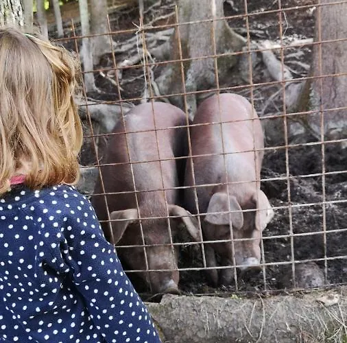 Ferienbauernhof Stallhaeusl *