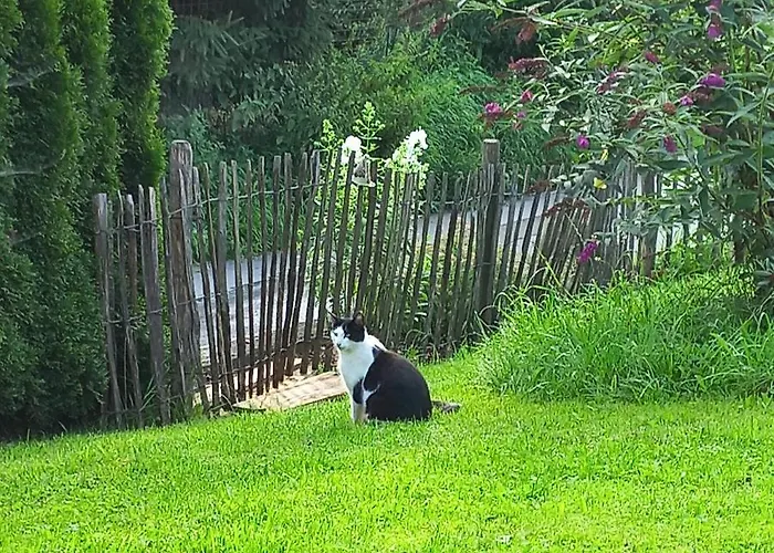 Apartament Ferienbauernhof Stallhaeusl Fieberbrunn