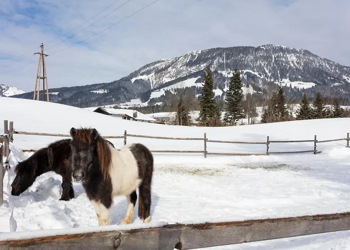 Apartament Ferienbauernhof Stallhaeusl *