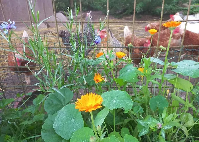 Ferienbauernhof Stallhaeusl * Fieberbrunn