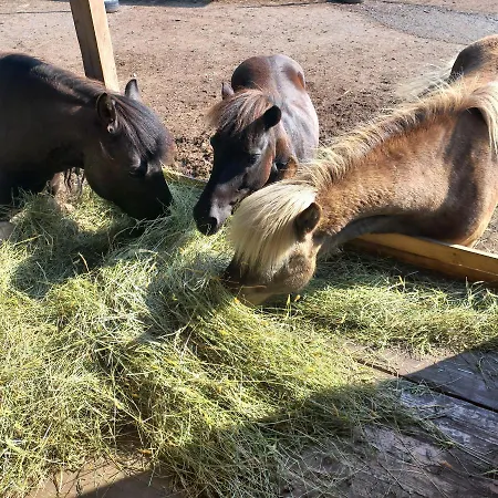 Apartamento Ferienbauernhof Stallhaeusl *