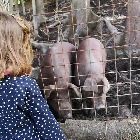Ferienbauernhof Stallhaeusl *