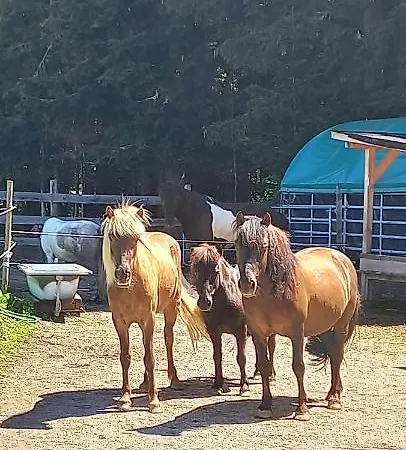 Ferienbauernhof Stallhaeusl Fieberbrunn