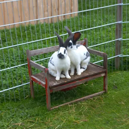 Ferienbauernhof Stallhaeusl * Fieberbrunn