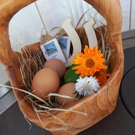 Ferienbauernhof Stallhaeusl Lejlighed *