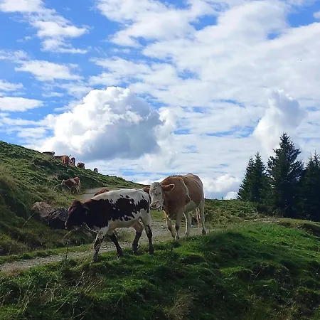 Ferienbauernhof Stallhaeusl Lejlighed *